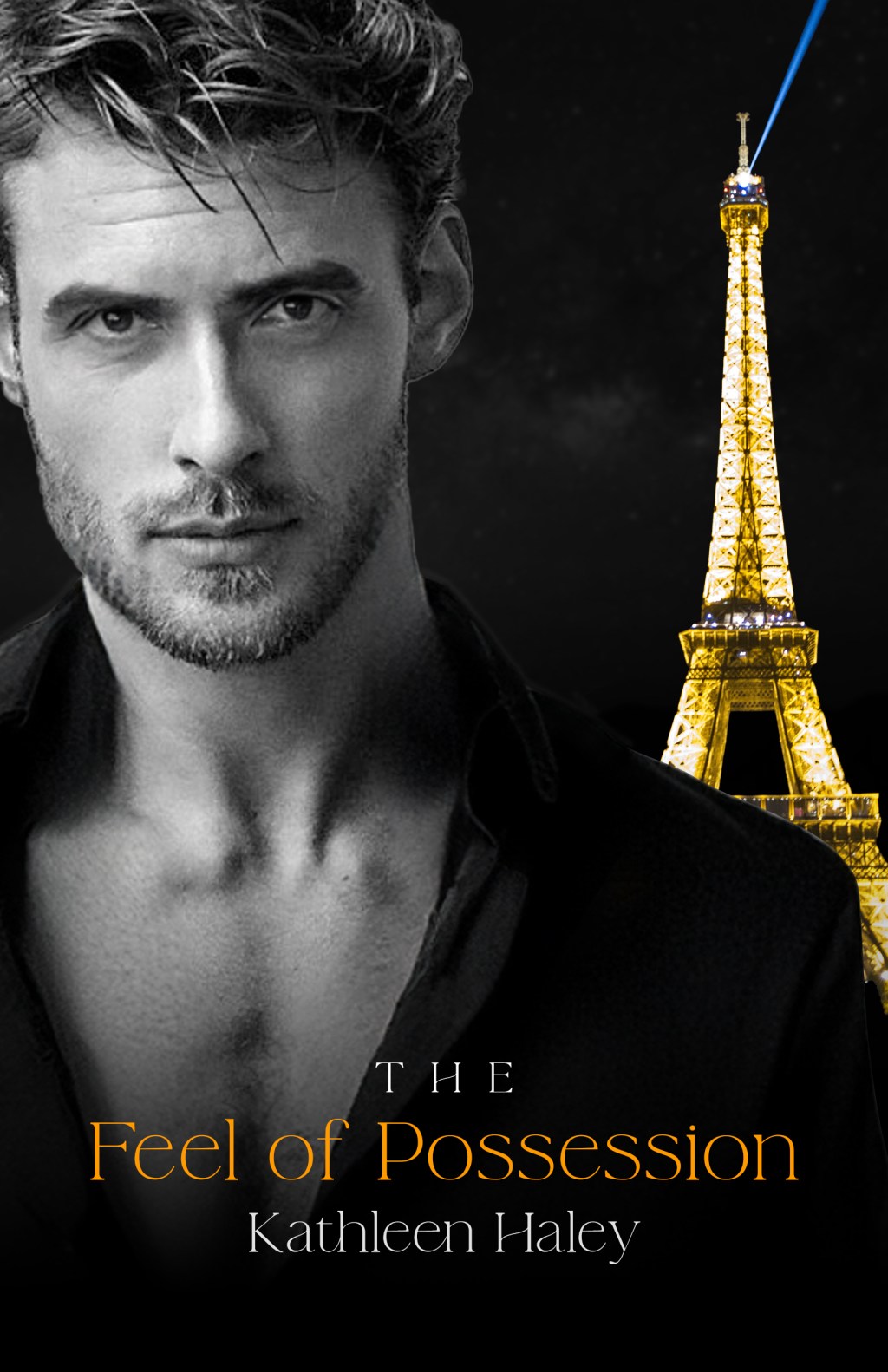 ARC Review: The Feel of Possession by Kathleen Haley